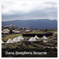 dana reserve tour